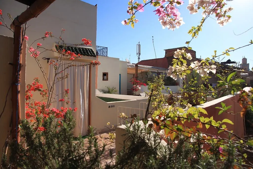 Riad Le Coq Fou Marrakesh