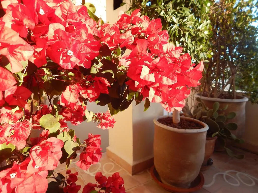 Riad Le Coq Fou Marrakesh 2*,  Marocco
