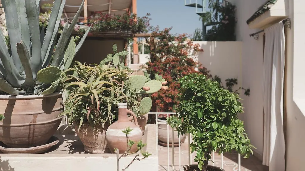 Riad Le Coq Fou Marrakesh Marocco